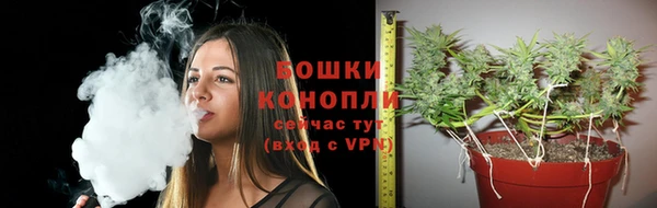 крисы Лиски