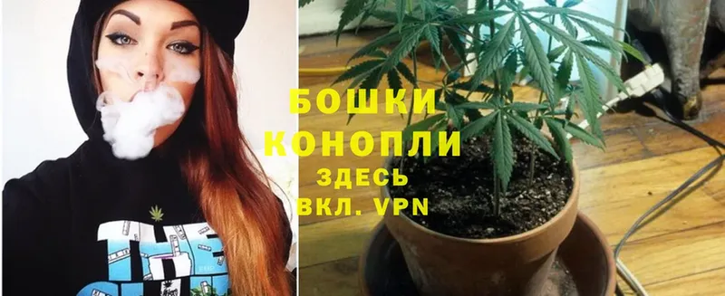 блэк спрут вход  Белый  Конопля Ganja 